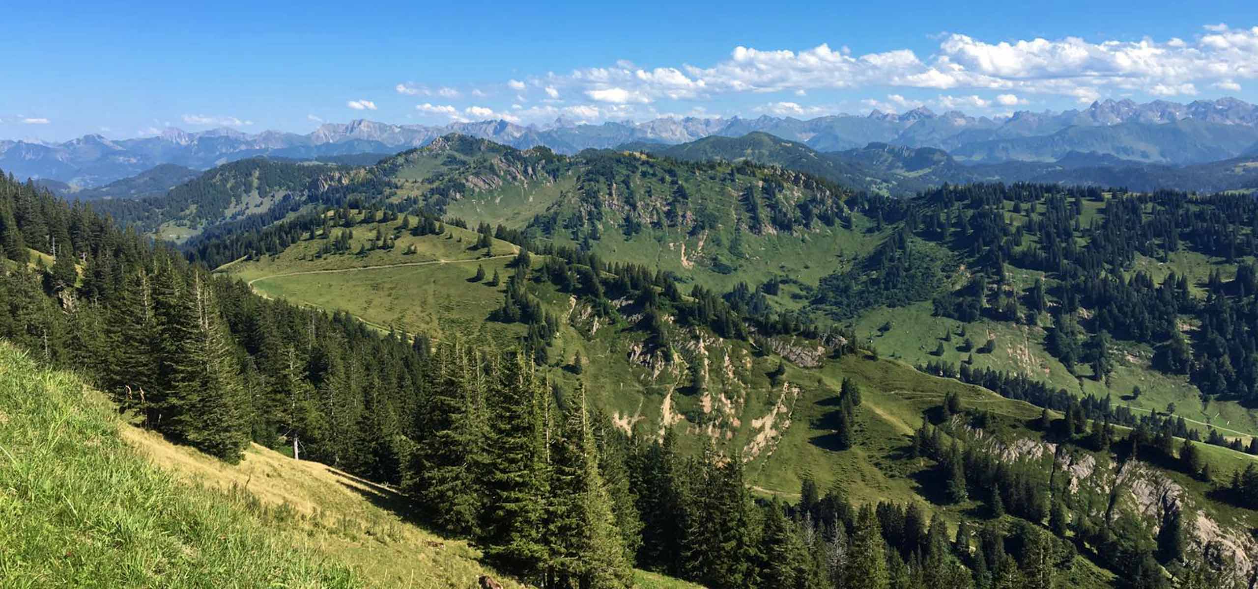 Wunderschönes Allgäu im Sommer