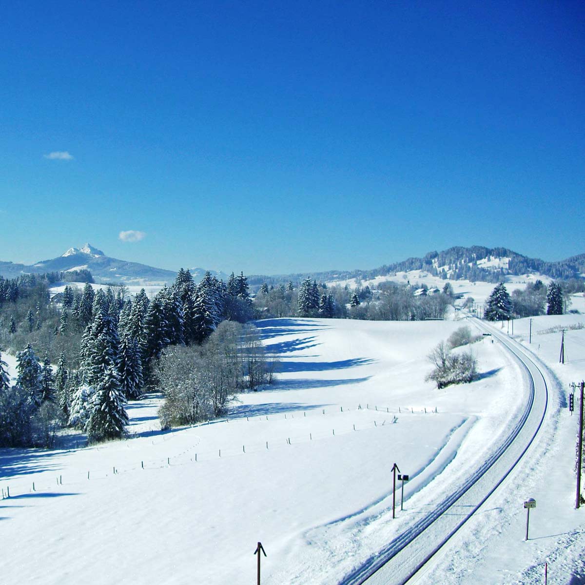 Winter